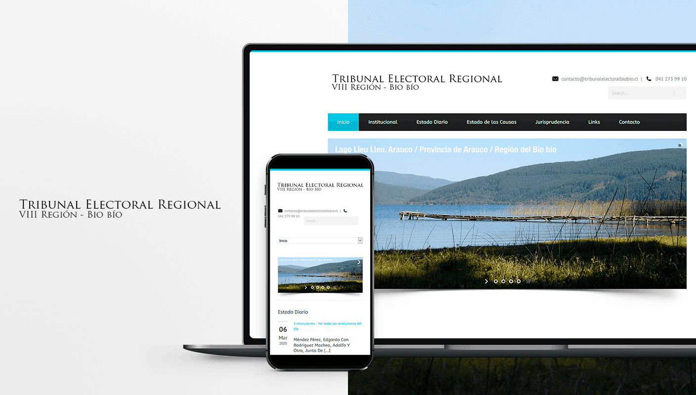 pagina web tribunal